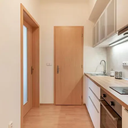 Apartament By Wenceslas Square